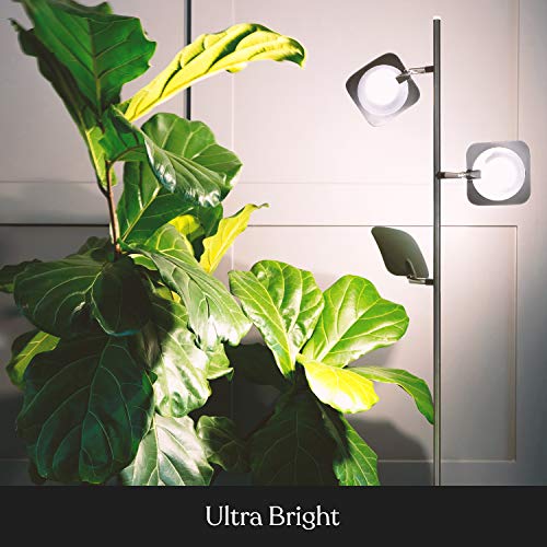 Brightech Tree Floor Lamp For Living Rooms & Offices, Dimmable Standing Lamp For Bedroom Reading, Led Spotlight Floor Lamp, Tall Lamp With Adjustable Panels For Minimal Space Use - Black #TOP2
