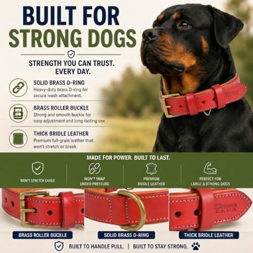 Image of Genuine Leather Dog Collar, Red, Extra Large, Brass Buckle, Padded | 1.5 Inch Wide, Fit Neck Size - 22 inch - 26 inch, Double D Ring, Adjustable, Thick Leather, Heavy Duty, Soft Leather padding