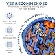 Outward Hound Antischlingnapf Hunde - Slow Feeder Hundenapf, für mehr Fressspaß, langsameres Fressen, beugt Blähungen vor, Rutschfester langlebiger Hunde Wasser- & Futternapf, Größe Mittel (Blau)