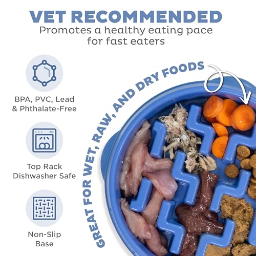 Outward Hound Antischlingnapf Hunde - Slow Feeder Hundenapf, für mehr Fressspaß, langsameres Fressen, beugt Blähungen vor, Rutschfester langlebiger Hunde Wasser- & Futternapf, Größe Mittel (Blau)