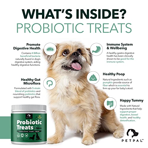 Petpal Probiotic for Dogs & Puppies - Great Poop - No Scoot, Digestive Health, Gut, Diarrhea, Bowel Support, Relief - Supplement & Vitamin - 90 Soft Chew Treats, Immune System. - Image 3
