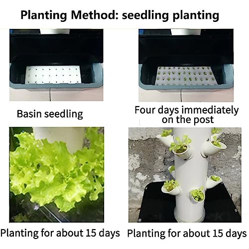 Kit de jardín hidropónico para interiores, para hierbas, frutas, verduras, con bomba de temporizador, red de macetas, aeroponía, sistema de jardinería en casa