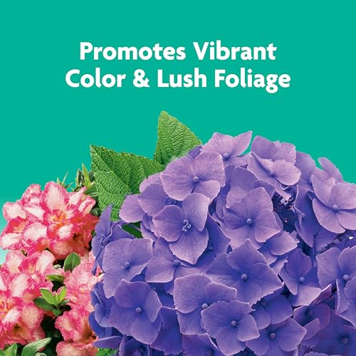 Image of Miracle-Gro Tree & Shrub Plant Food Spikes, 12 Spikes | For Deciduous, Flowering and Evergreen Trees, Hydrangeas, and Acid-Loving Plants