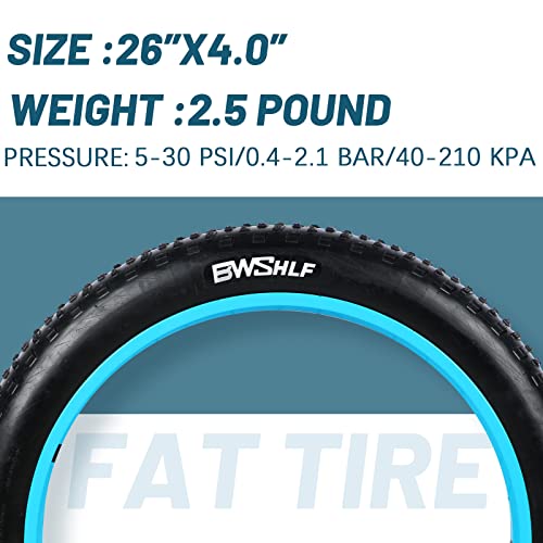 BWSHLF 60 TPI Folding Tire