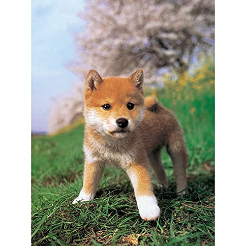 Peinture diamant chiot contre le stress avec kit de broderie mosaïque strass complet 50x100cm