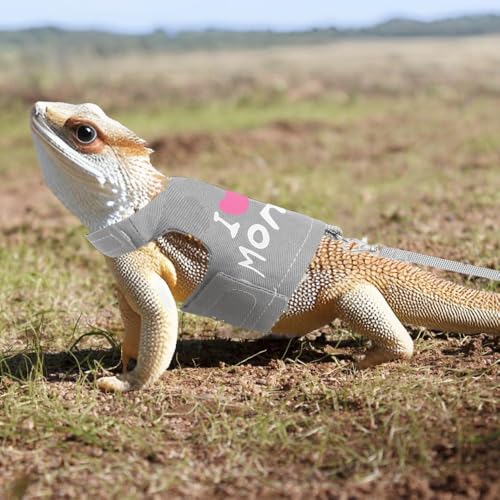 Image of Bearded Dragon Leash and Harness, Adjustable Lizard Reptiles Harness Clothes with 4.76ft Leash, Small Pets Harness and Leash Set for Lizards Ferrets Hamsters Walking Training Outdoor