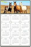 2026 Magnetic Calendar - Calendar Magnets - Today is my Lucky Day - (Fade, Tear, and Water Resistant) - Horses Themed 07 (5.25 x 8)