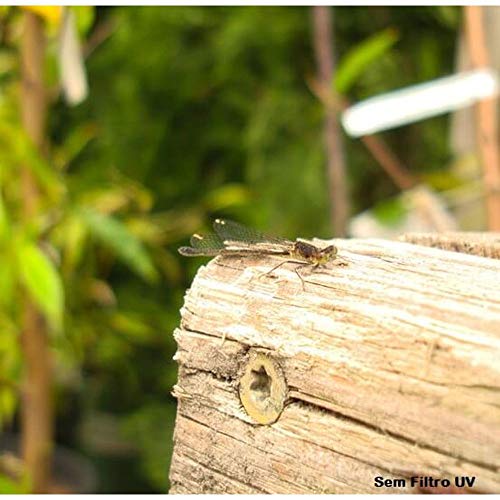 Filtro Kenko UV 67mm