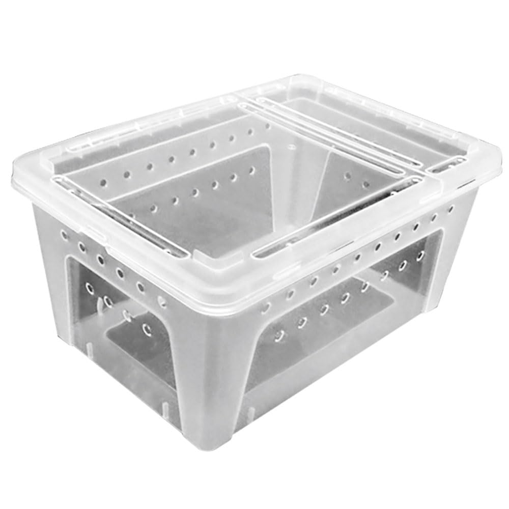 Reptile or Insect Breeding Box, 26 cm x 17.5 cm x 11.5 cm