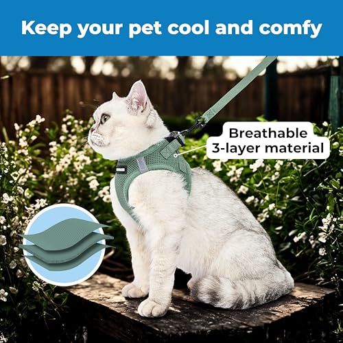 Image of Voyager Step-in Pet Harness - All Weather Mesh, Adjustable Step in Harness for Cats and Dogs by Best Pet Supplies - 307 Set Moss Green, XS