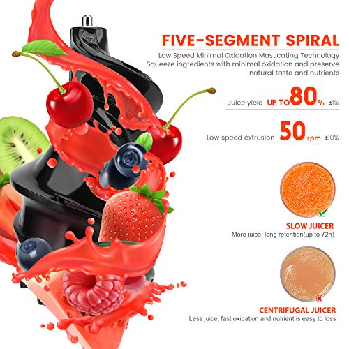 Masticating Juicer, Vestaware Slow Juicer Machines Large Chute Cold Press Juicer with Quiet Motor & Reverse Function, Easy Clean BPA-Free Juice Extractor with Recipes for Fruits and Vegetables