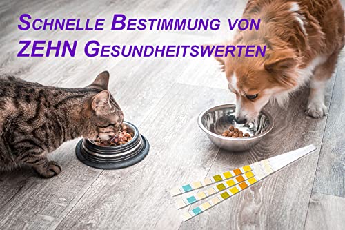 One+Step Urin Teststreifen für Katzen und Hunde 5 Stück I Schnelltest zur Prüfung von 10 Gesundheitswerten I Haustier Schnelltest I Tierurinanalyse I Veterinär Test