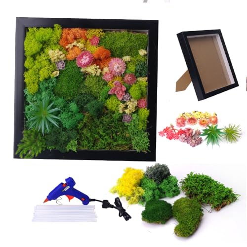 ACADOIT Moss ArtsFrame Crafts for Adults, 11" Home Office Decor Living Wall Hanging Decor