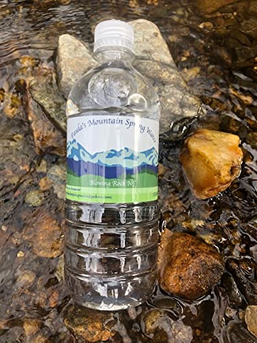 PAULA'S MOUNTAIN SPRING WATER 24 - 20 FL OZ BOTTLES