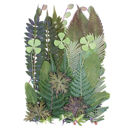 30 piezas hojas verdes prensadas para arte y manualidades miniatura 1