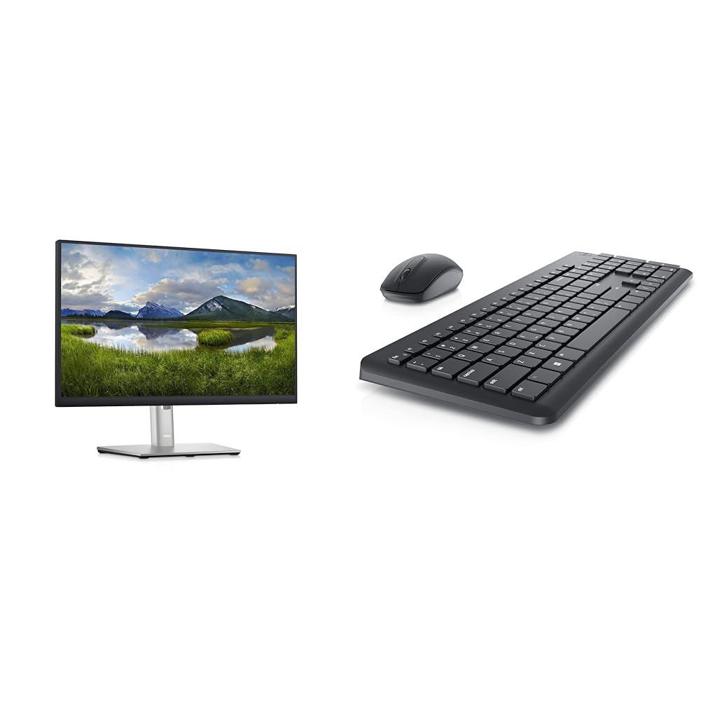 Dell 22