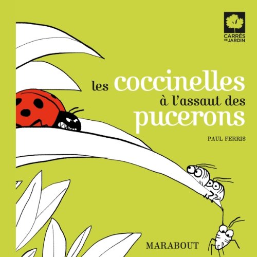 Les coccinelles à l'assaut des pucerons (carrés de jardins