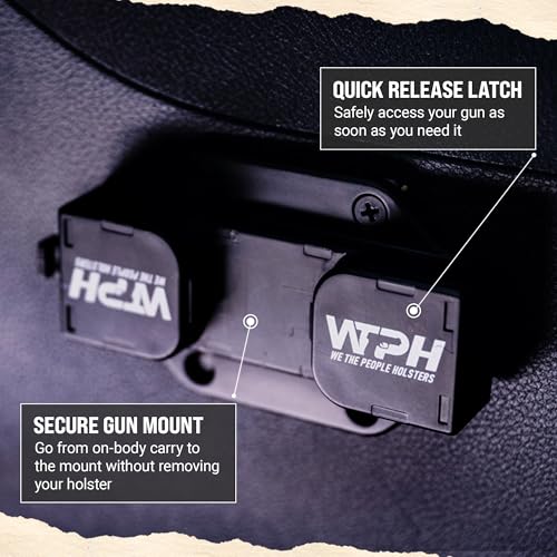 We The People IWB Car Mount