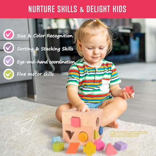 Timfuis ST01 Wooden Shape Sorting Toy thumb #3