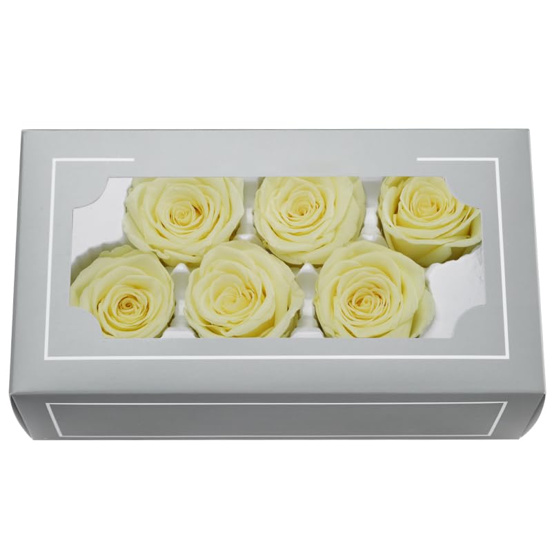 A Grade 5-6cm Preserved Rose Head,Top Grade Natural Eternal Real Roses,Immortal Rose Last 3 to 5 Years For Mothers Valentines Day Birthday Gifts,Wedding Home Party Decor, DIY Essential (Lemon Yellow)