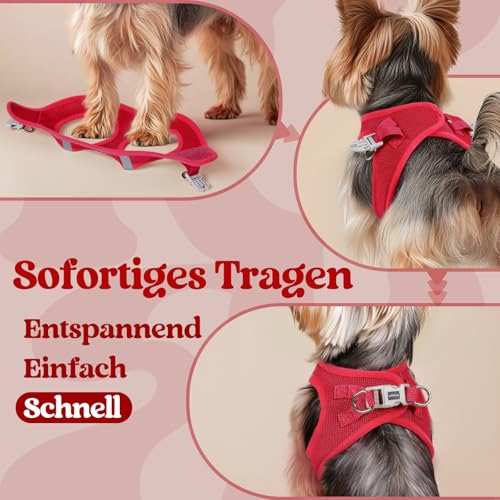 rabbitgoo Hundegeschirr Kleine Hunde, Step-in Welpengeschirr Weich Mesh für Spaziergänge, Atmungsaktives und Reflektierendes Brustgeschirr für Kleine und Mittelgroße Hunde, Rot, S