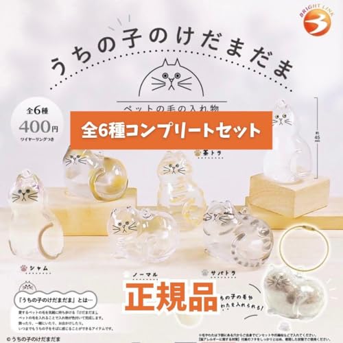 yKi S6Rvz ̎q̂܂ K`K`