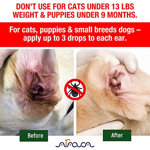 Arava Natural Ear Mite Treatment for Cats and Dogs Effective Ear Cleaning Drops for Cat and Dog Ear Mites and Prevent Infections Not for Cats Under 13 Lbs Puppies Under 9 Months Cucciolini Doodles Arava natural ear mite treatment for cats and dogs effective ear cleaning drops for cat and dog ear mites and prevent infections not for cats under 13 lbs puppies under 9 months cucciolini doodles