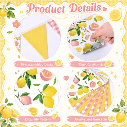 Image of Faccito 5 Pcs Lemon Pink Gingham Pennant Banners Summer Wedding Decor