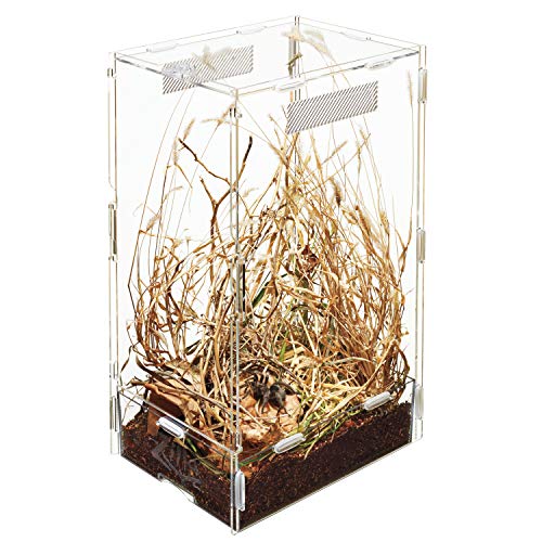 ZILLA Micro Habitat Terrariums with Locking Latch, Arboreal, Large, Clear - Image 2