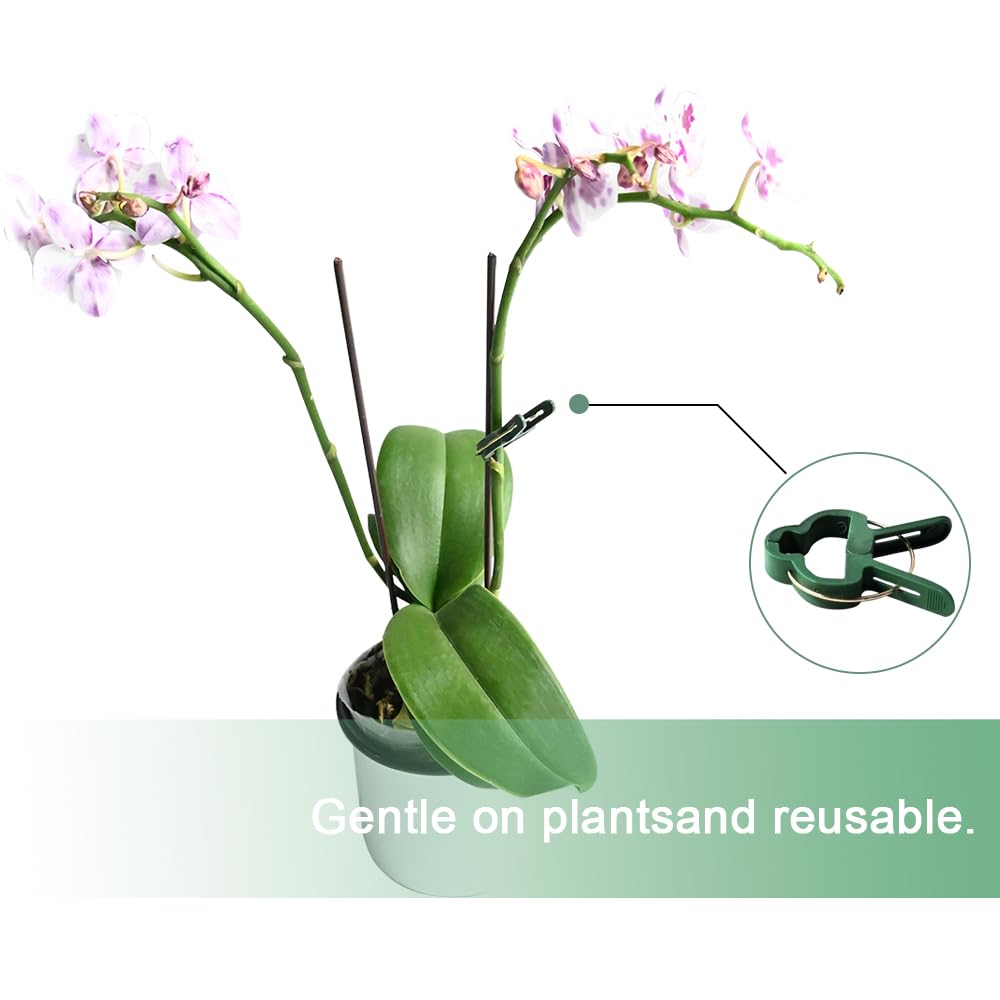 Ram 100 PCS Garden Plant Clips Adjustable Plant Stem Clips for Support Vine Vegetables Tomatoes Climbing Plants 2 SIZES - Image 4
