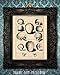 Skulls - 11x14 Unframed Art Print - Makes Great Gift Under $15 for Medical and Nursing Students