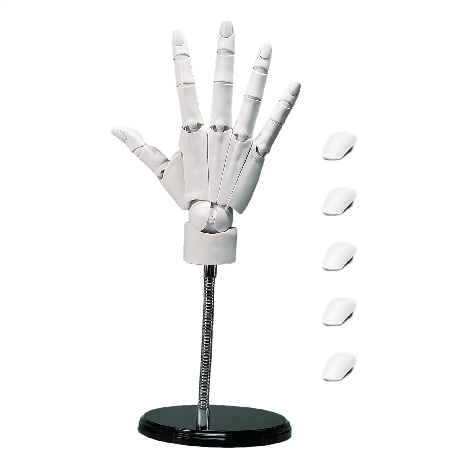 Hand Model, Flexible Hand Model, Artists Flexible Hand Model, Moveable Joints Manikin Hand Figure - Perfect for Drawing, Displaying, and Enhancing Sketching and Painting Techniques