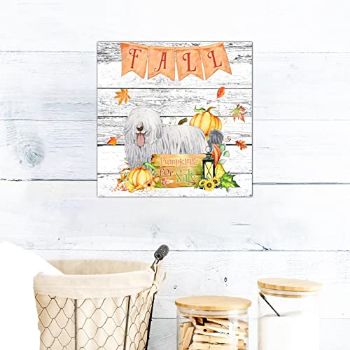 Plaque murale en bois Fall Pumpkins décorative pour maison 30,5 cm