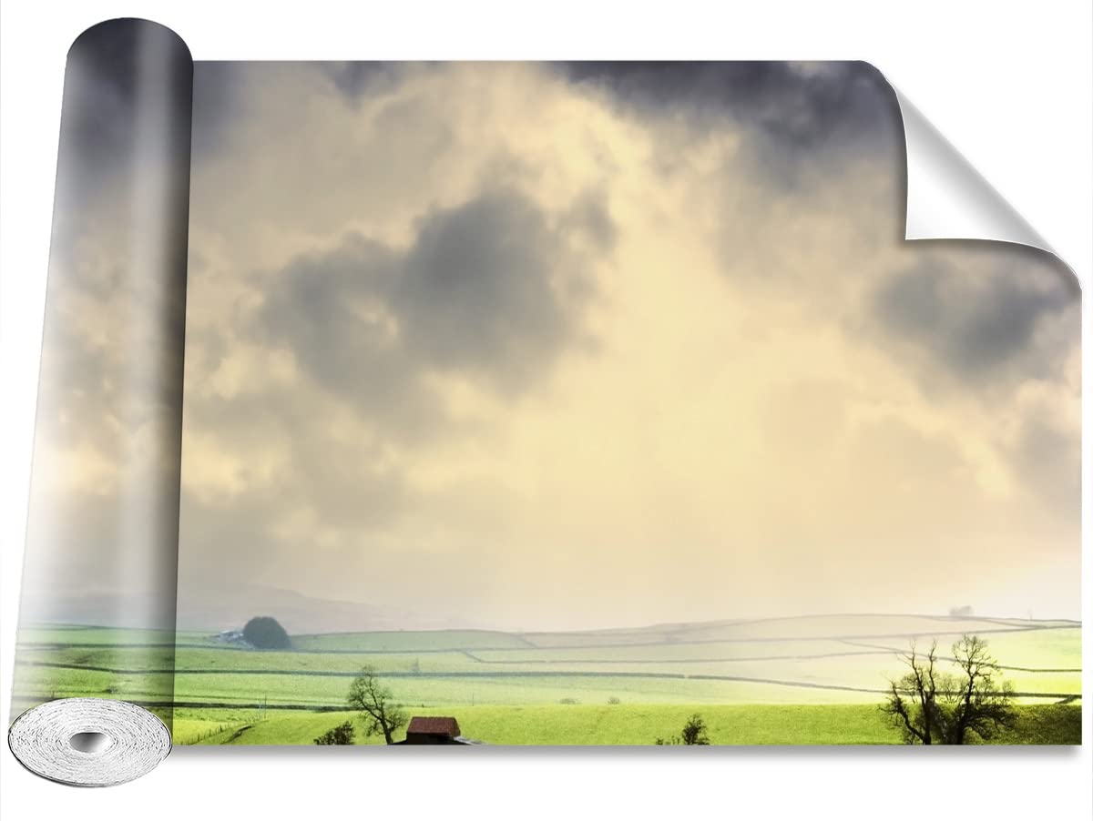 Papier peint camouflage Tulup 250x104cm robuste pour protéger et décorer vos murs