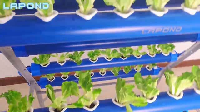 28穴 室内水耕栽培 固定器具付き 半自動ファーム 28穴 室内水耕栽培 固定器具付き 半自動ファーム すいこう栽培キット