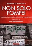 Non solo Pompei. Viaggio nell'archeologia derelitta in Campania