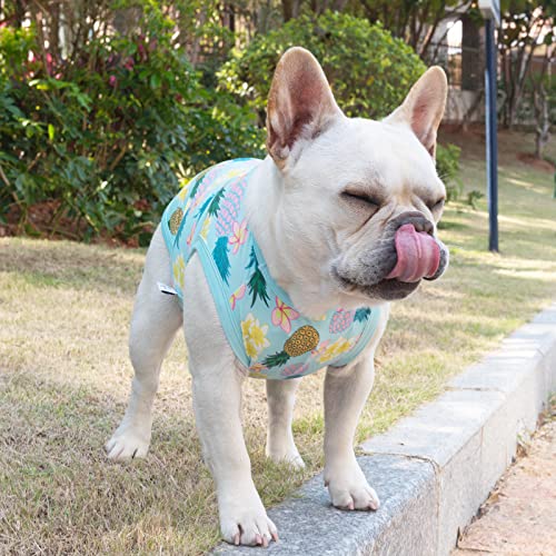 Image of CuteBone Dog Shirts 2-Pack Soft Pet Clothes Breathable Summer Vest for Small Puppy and Stretchy Cat Apparel