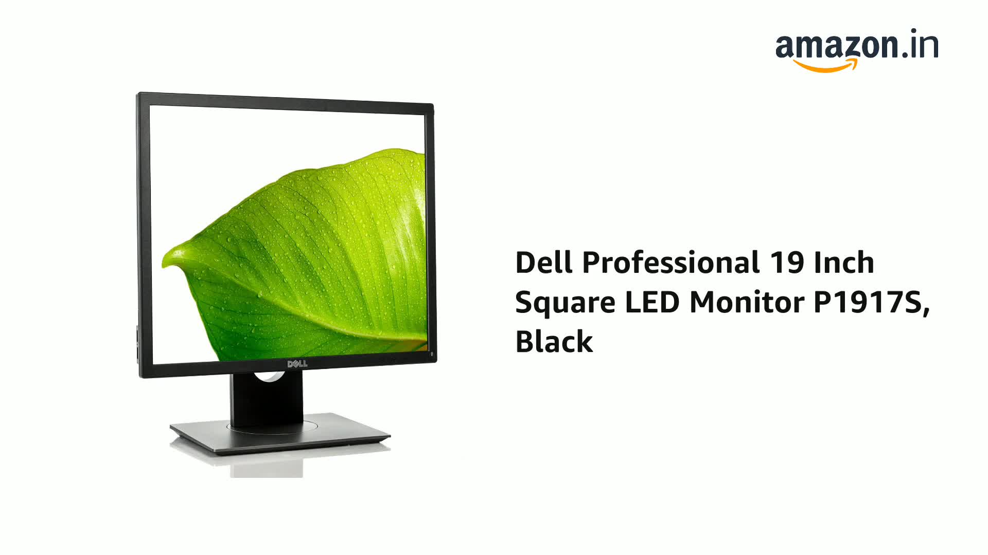Dell Professional 19 Inch Square LED Monitor P1917S, Black