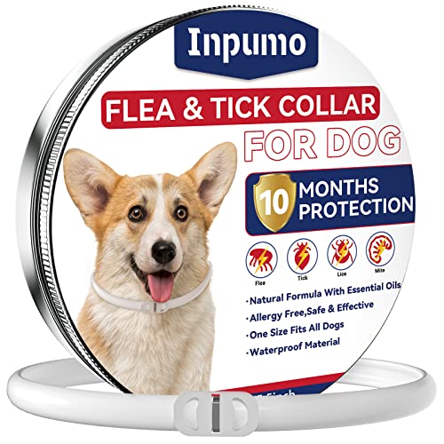 Collar Antiparasitario Perros, Collar Antipulgas Perros, 10 Meses de Protección Mejorada, Aceite Esencial Impermeable Ajustable 65 cm Adecuado para Todas Las Razas de Perros