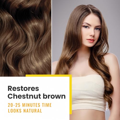 Image of KINGMING Chestnut Brown Hair Dye Shampoo 3 in 1 for Gray Hair | Chestnut brown hair color shampoo for women and men, at-home gray and white hair coverage