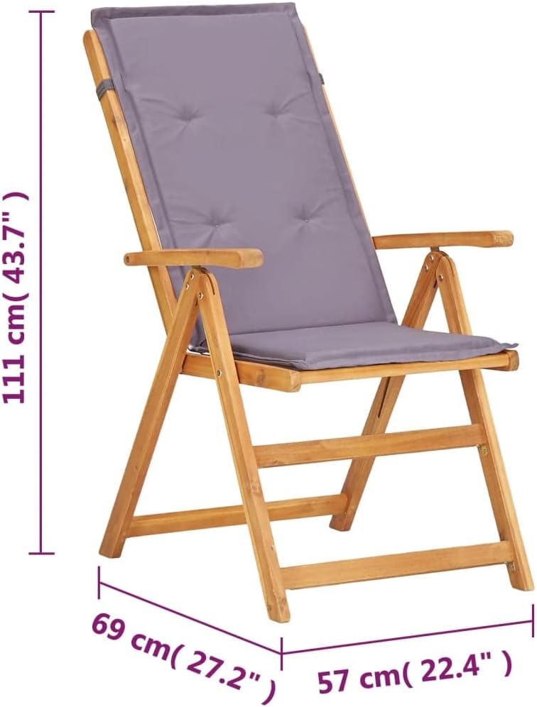 vidaXL Garden Chair Set of 2 Dark Grey
