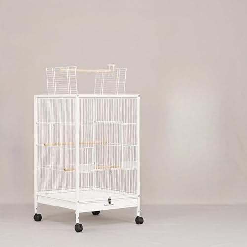 AIEA؋iAKтɂAIEɓKĂ܂B傫ȋԂ͒^т̒ɍœKŁA㕔ɂ2̊JhAƓV܂BogCƈړ₷LX^[Ă܂BVƃANhAɂAX[YȃR~jP[V