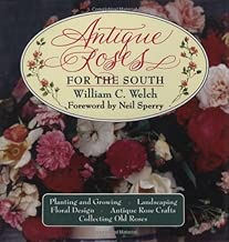 Antique Roses for the South