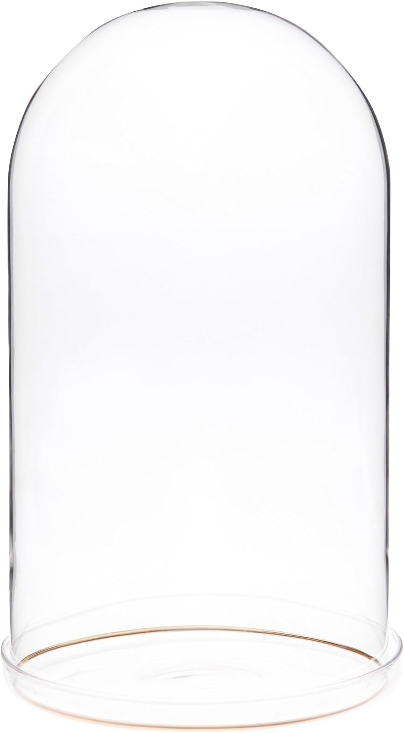Plymor 5.5" x 10" Glass Display Dome Cloche with Gold Rim (Clear Glass Tray Base)