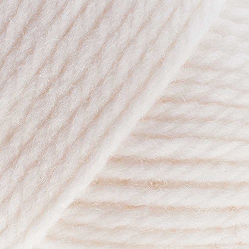 Brown Sheep Naturespun Yarn Worsted 100G 730 Natural #TOP1