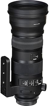 Amazon.co.jp: SIGMA 150-600mm F5-6.3 DG OS HSM | Sports S014