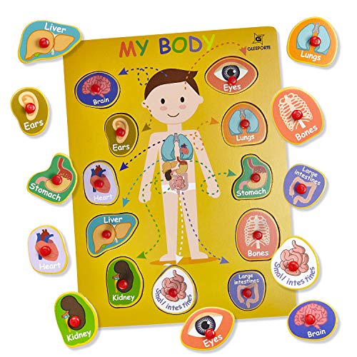 Gleeporte Wooden Peg Puzzle, My Body - Inside & Outside Parts - Pack of 2 Learning Educational Pegged Puzzle Boards for Toddler & Kids - (Set of 2)