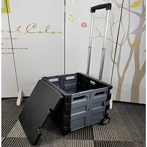 ZUOAO Carro de la Compra Cesta de la Compra Cajas Plegables de Ruedas de plástico de Almacenamiento Cesta de Cocina Mango Mercado de Muebles Cochecito,I-Big