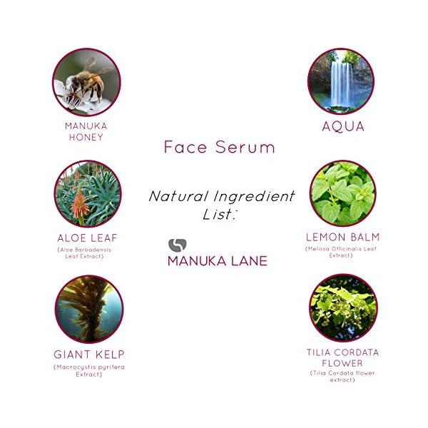 Anti-Wrinkle-Manuka-Honey-Cream-Serum-with-Collagen-Hyaluronic-Acid-Pure-Honey-by-Manuka-Lane-Natures-Most-Powerful-Anti-Aging-Facial-Serum Manuka Honey Cream Serum with Collagen, Hyaluronic Acid, & Pure Honey, by Manuka Lane | Nature’s Most Powerful Facial…