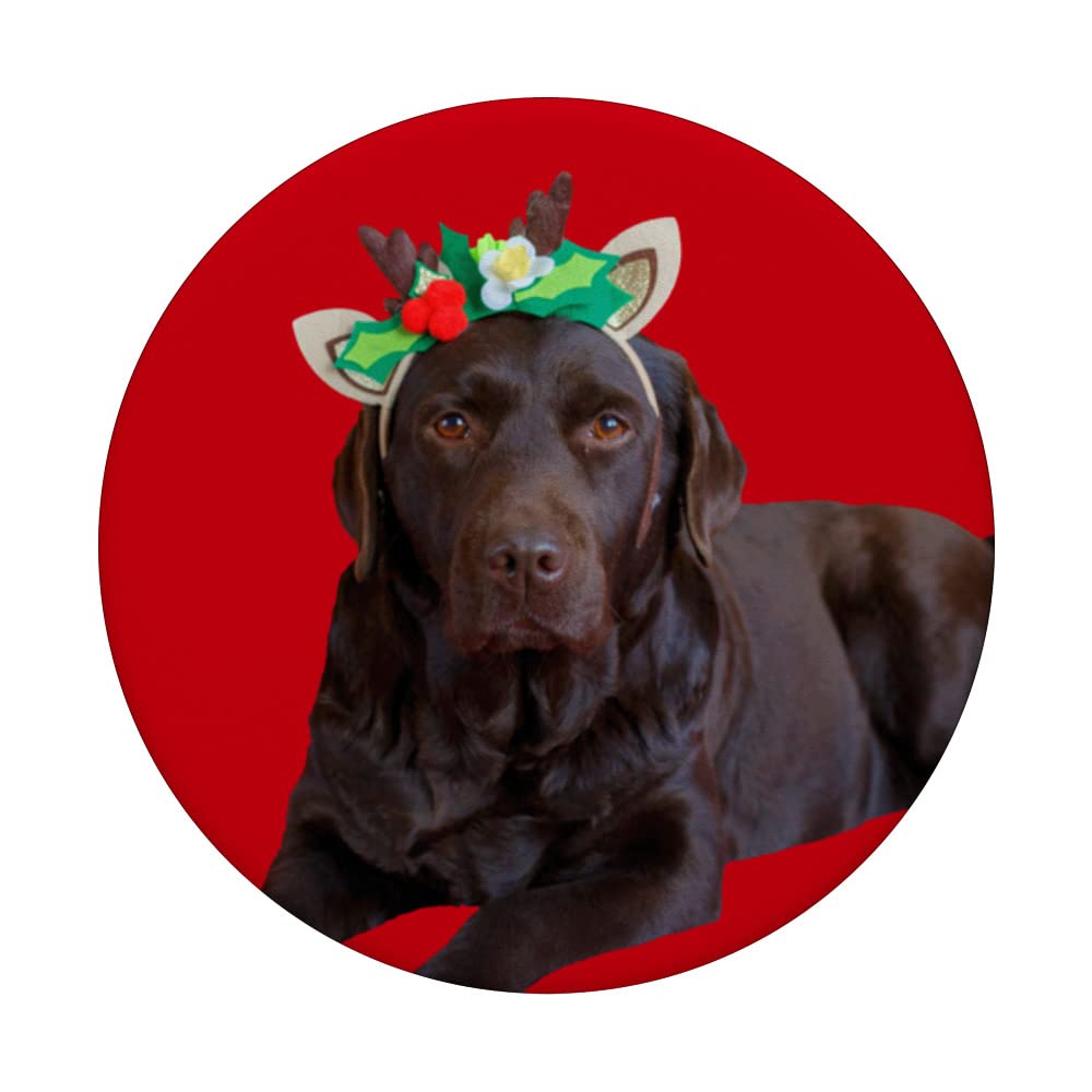 Chocolate Lab Shirt Cute Labrador Dog Image Funny Christmas PopSockets Swappable PopGrip, Black - Image 3